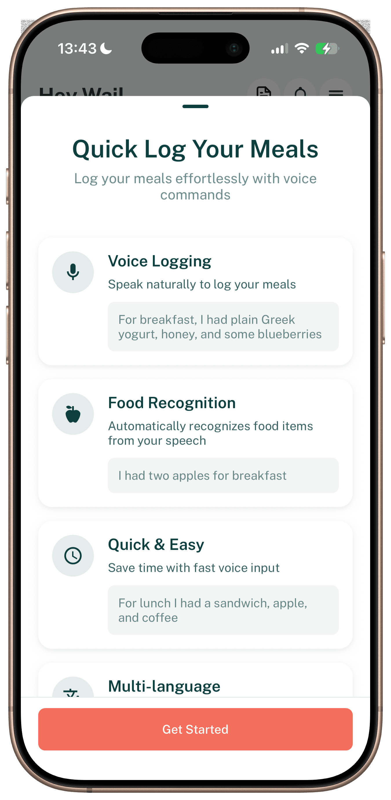 Quick log screen where meals are logged by voice